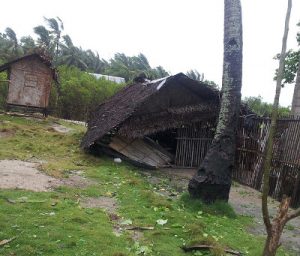 yolanda damage